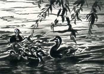 "The Eyes Of The Lake" by Silvia Cavagnero, Madison WI - Ink & Charcoal